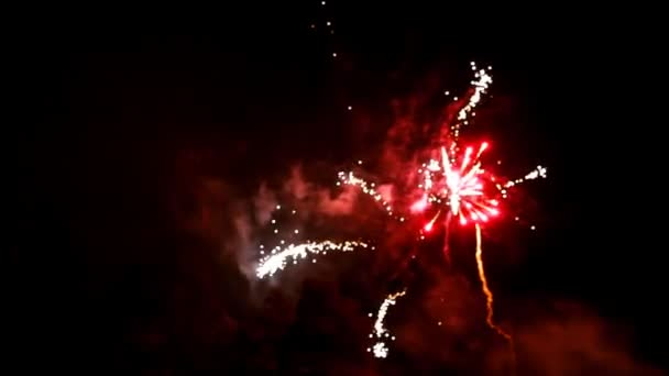 Fuegos artificiales — Vídeo de stock