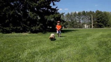 küçük çocuk çocuk ile bahar parkta köpek yürüyüş