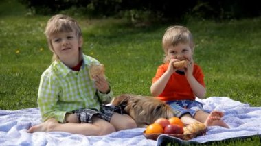 çocuklar parkta köpek çim üzerinde oturan ve yeme