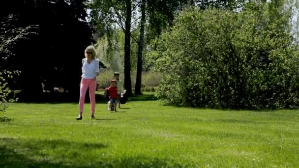 Jonge vrouw met kinderen en een hond gaat op een picknick in groen park. — Stockvideo