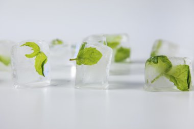 güzel gündoğumu ağaç