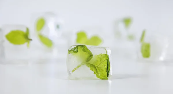 Menta en cubitos de hielo sobre un fondo blanco — Foto de Stock