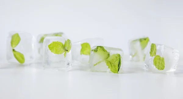 Menta en cubitos de hielo aislados sobre un fondo blanco — Foto de Stock