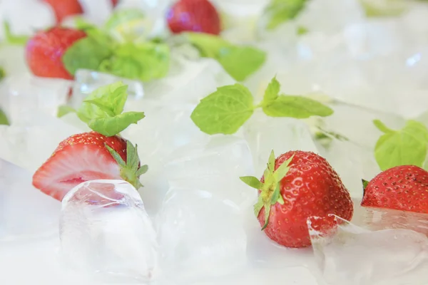 Verse aardbeien met ijsblokjes en mint — Stockfoto