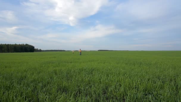 Щасливі діти біжать в зеленому полі в літній день — стокове відео