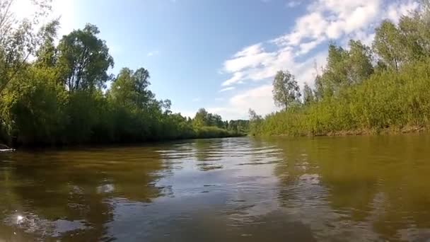 Спокійна річка в лісах і полях — стокове відео