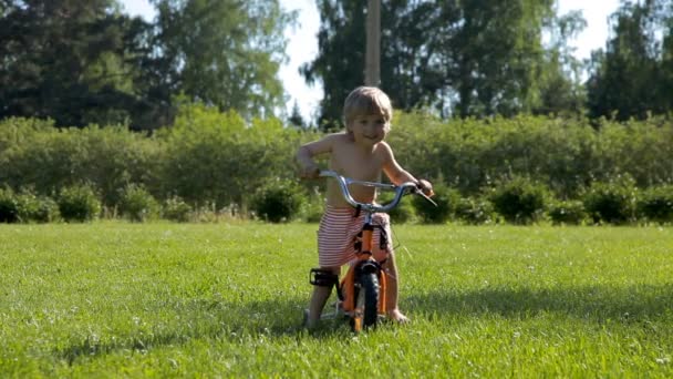 Gelukkig peuter kind rijden fiets op groen gras — Stockvideo