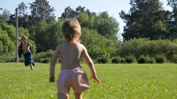 Les enfants courent partout et s'amusent sur l'herbe verte — Video