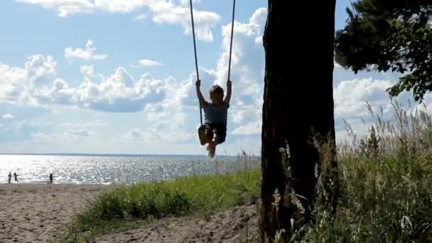 Šťastné dítě baví na houpačce pod strom na pláži — Stock video