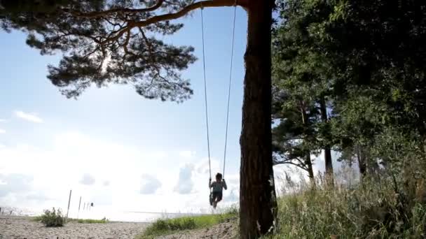 Jongen swingen op een schommel onder een hoge naaldboom — Stockvideo