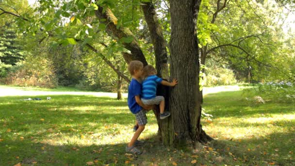 Junge hilft seinem kleinen Bruder auf Baum zu klettern — Stockvideo