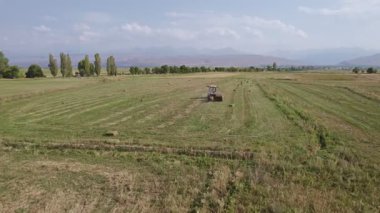 Traktör tarlada saman toplamak için balya makinesi kullanıyor. Haymaking. Traktör saman topluyor ve saman balyaları yapıyor. Samanlık yapma makinesi. Günbatımında Çiftlikte Çalışan Traktör.