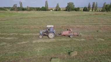 Traktör tarlada saman toplamak için balya makinesi kullanıyor. Haymaking. Traktör saman topluyor ve saman balyaları yapıyor. Samanlık yapma makinesi. Günbatımında Çiftlikte Çalışan Traktör.