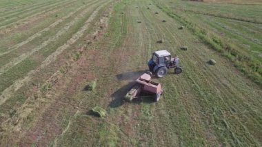 Traktör tarlada saman toplamak için balya makinesi kullanıyor. Haymaking. Traktör saman topluyor ve saman balyaları yapıyor. Samanlık yapma makinesi. Günbatımında Çiftlikte Çalışan Traktör.
