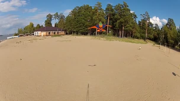 Kite och killen på stranden — Stockvideo
