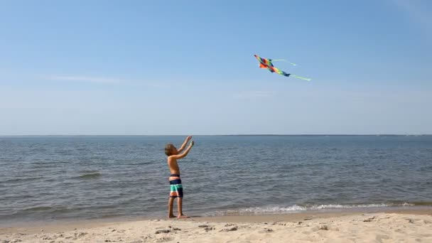 Мальчик с воздушным змеем на пляже — стоковое видео