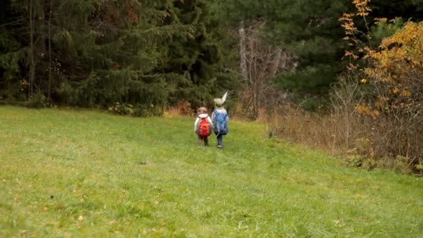 Niños haciendo senderismo con mochilas en el bosque . — Vídeos de Stock