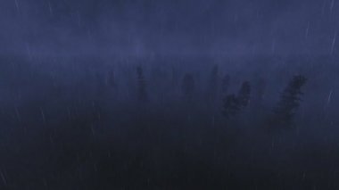 Gece ormanda düşen yağmur