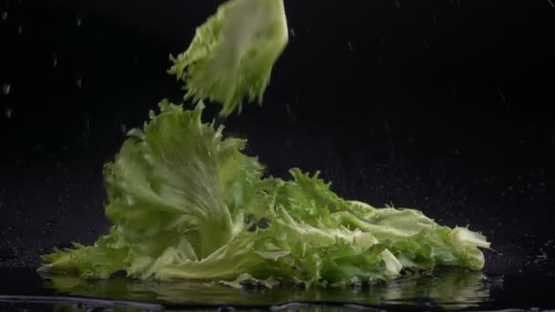 Салат падает и брызгает, замедленная съемка — стоковое видео