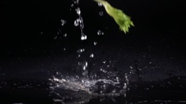 taze sebze su yavaş hareket ile düşüyor