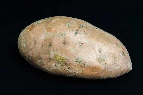 Sladký brambor na černém pozadí — Stock fotografie