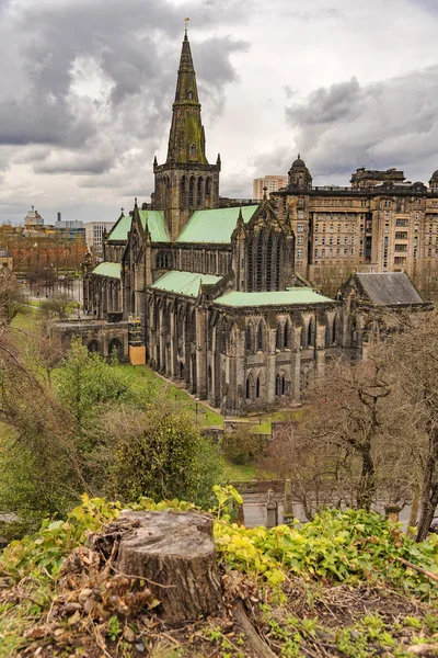 Glasgower Kathedrale von der Nekropole — Stockfoto