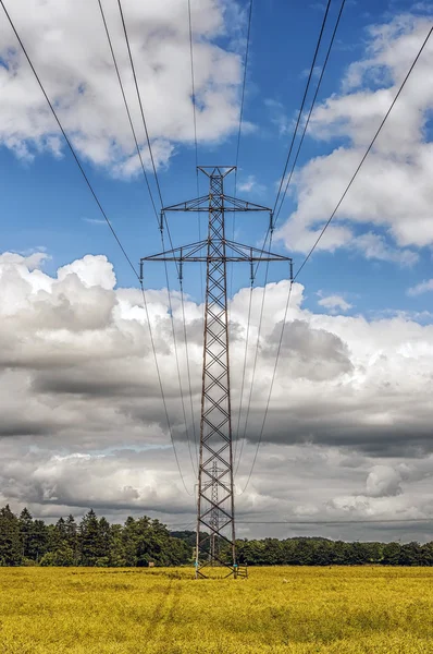 Pylon w dziedzinie — Zdjęcie stockowe