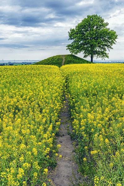 Ronnberga pisten in schweden — Stockfoto