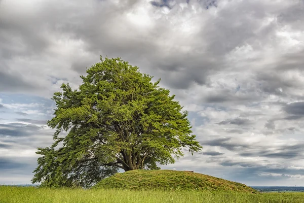 Ronneberga Backar i Skåne — Stockfoto