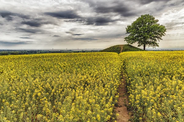 Ronneberga rückwärtige Landschaft — Stockfoto