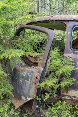 KIRKOE MOSSE, SWEDEN - 30 Mayıs 2020: İsveç 'in Kirkoe Mosse kentindeki bir ormanda bir araba mezarlığı.