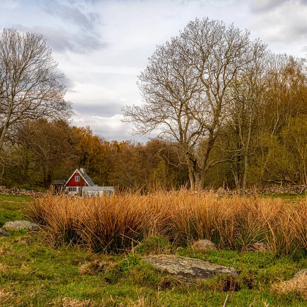 Grevie Backar Nature Reserve Skane Region Sweden — Stock Photo, Image