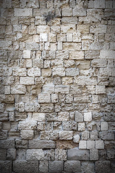Una Vista Fondo Antigua Muralla Ciudad Casco Antiguo Rodas Grecia — Foto de Stock
