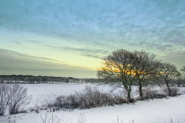 Vintern sunrise — Stockfoto