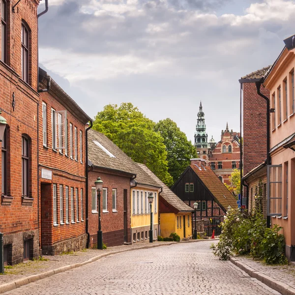 Veje af lund - Stock-foto