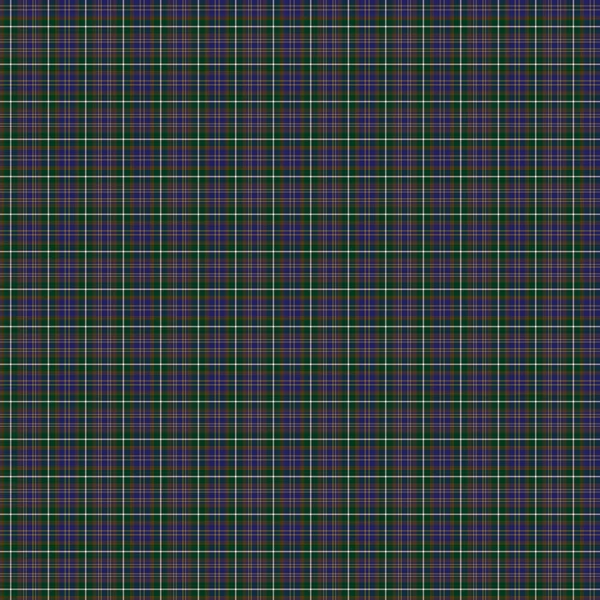 Clan Forbes de Druinnor Tartan — Photo