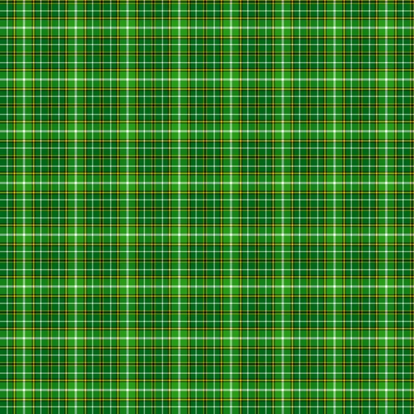 Clan Forrester Hunting Tartan — Stock Photo, Image