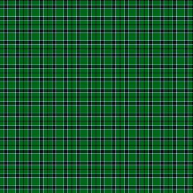 Klan Innes avcılık Tartan