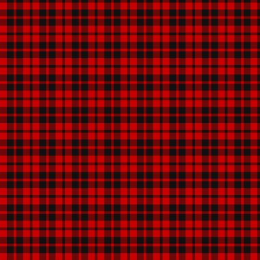 Ettrick bölge Tartan