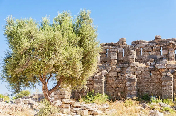 Seite antike Stadtmauer Ruinen — Stockfoto