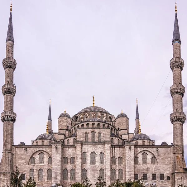 Mesquita azul lado traseiro — Fotografia de Stock