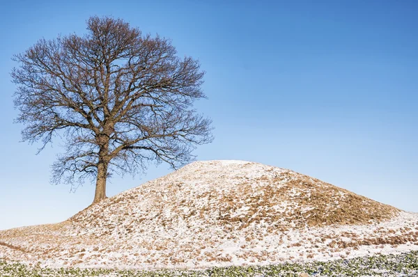 Jordfästningen fäste i Sverige — Stockfoto