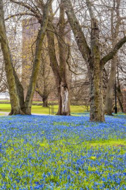 Bahar halı Karnan Helsingborg