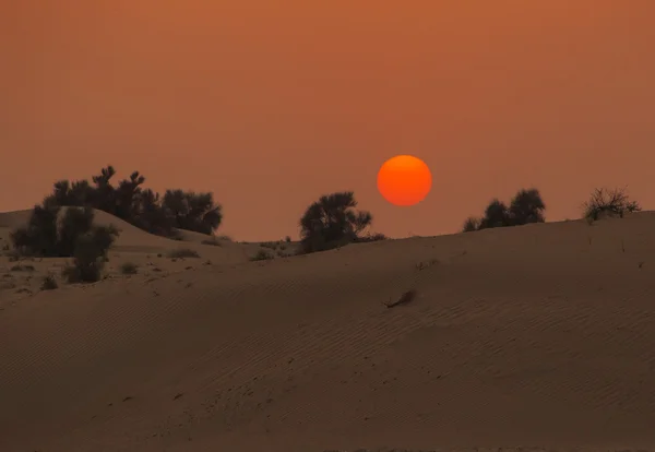 Coucher de soleil dans le désert — Photo