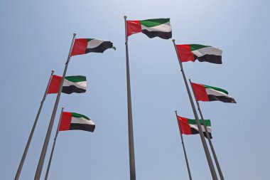 yedi Birleşik Arap Emirlikleri bayrağı