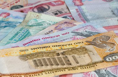 Birleşik Arap Emirlikleri para