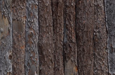 plakalar yapılan çit