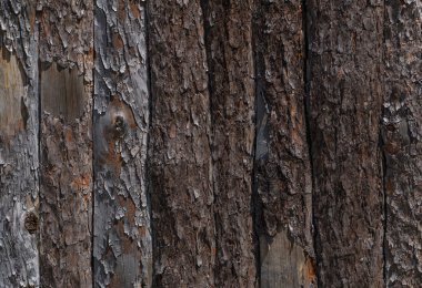 plakalar yapılan çit