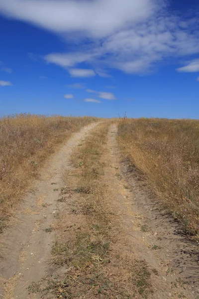 Strada che va verso il cielo blu — Foto Stock