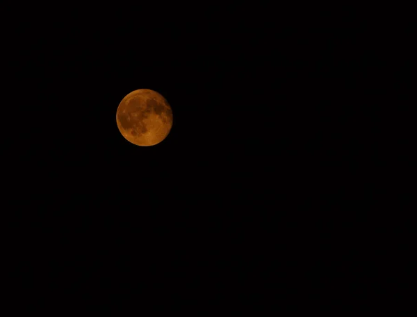 Luna llena por la noche — Foto de Stock